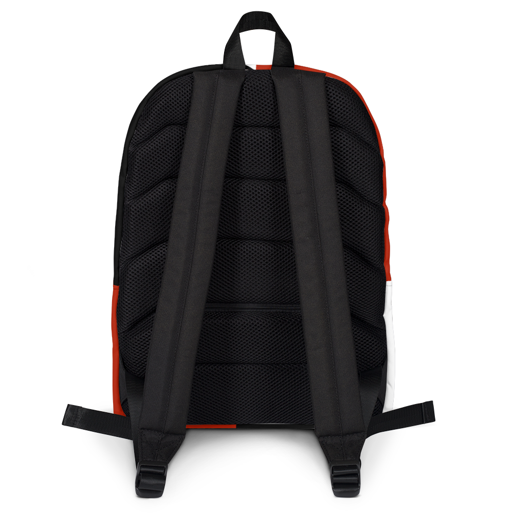 302 Backpack
